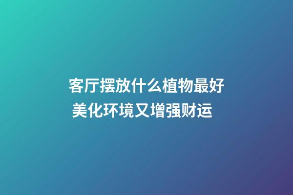 客厅摆放什么植物最好 美化环境又增强财运